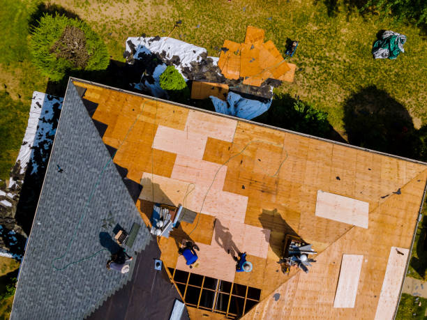 Best Roof Waterproofing Services  in Deridder, LA