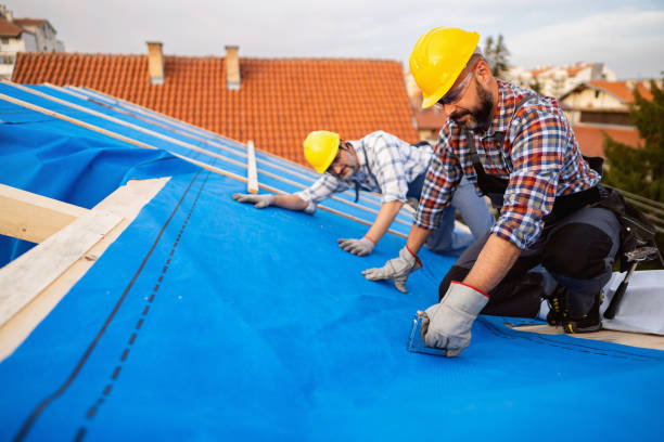 Best Roof Maintenance Services  in Deridder, LA